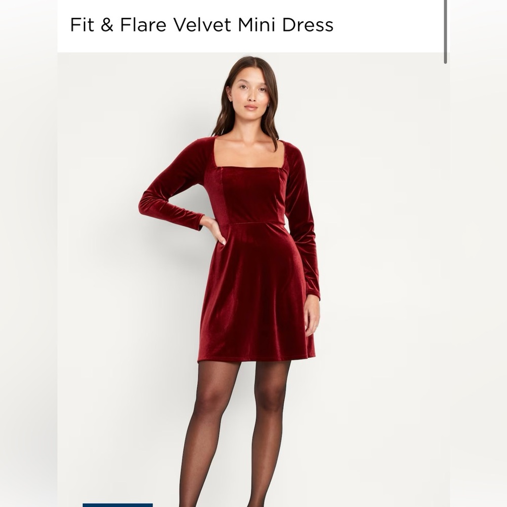 Fit and Flare Mini Velvet Dress